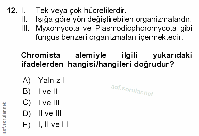Soru 12