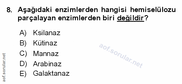 Soru 8