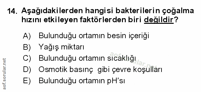 Soru 14