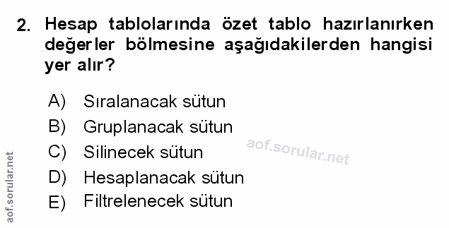 Soru 2