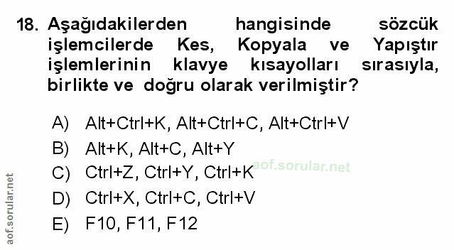 Soru 18