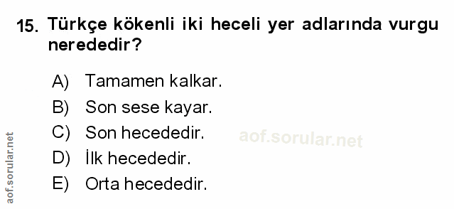 Soru 15