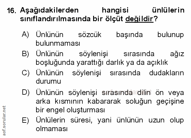 Soru 16