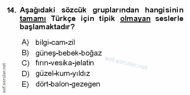 Soru 14
