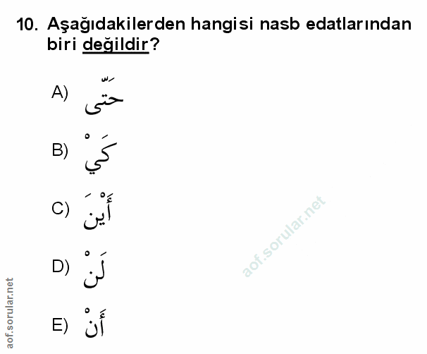 Soru 10