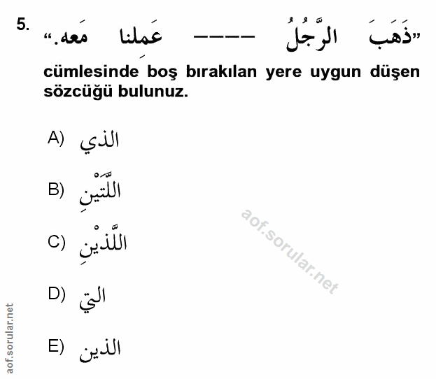 Soru 5