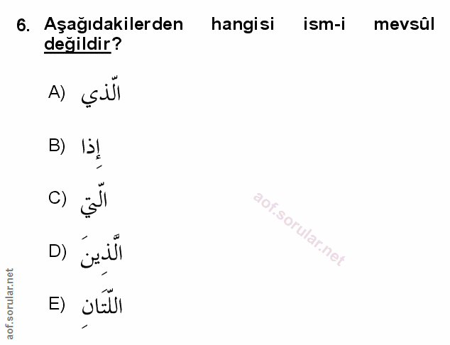 Soru 6