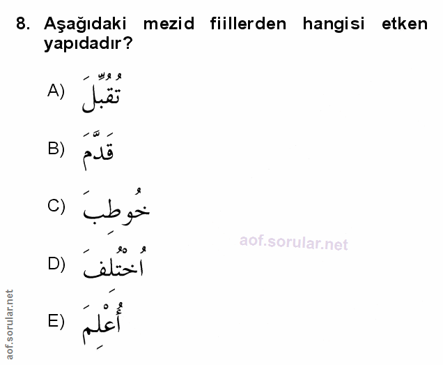 Soru 8