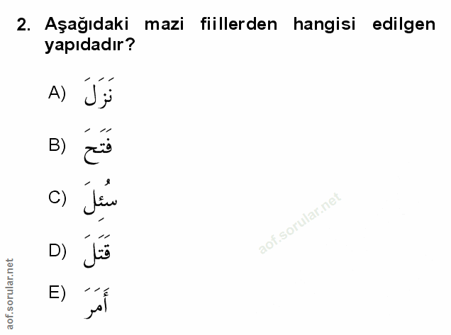 Soru 2
