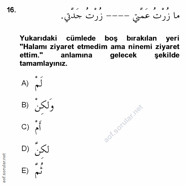 Soru 16