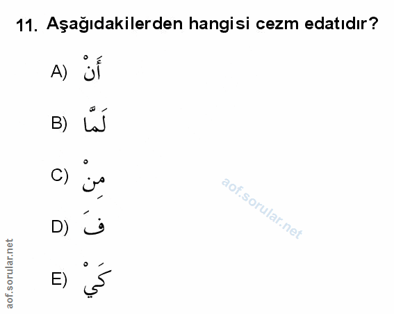 Soru 11