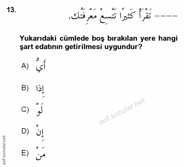 Soru 13