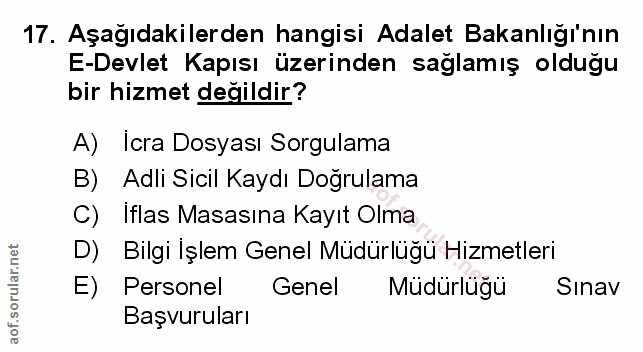Soru 17