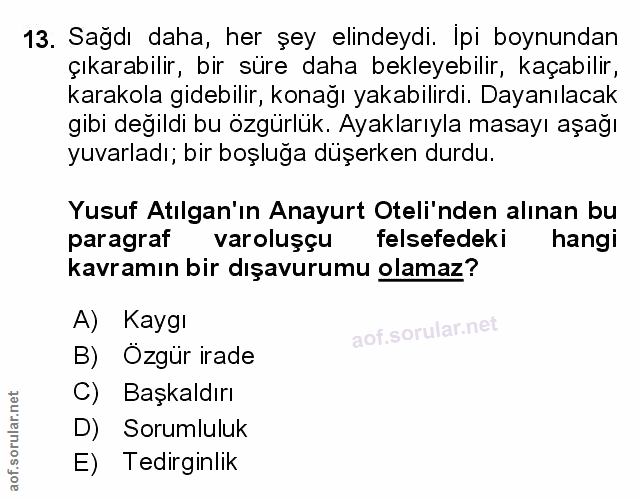 Soru 13