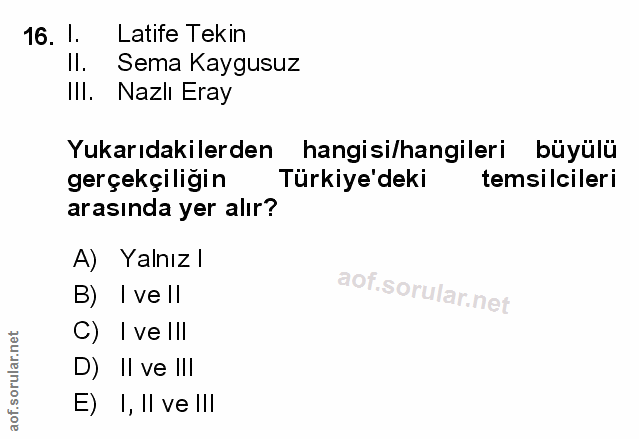 Soru 16