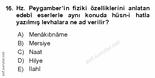 Soru 16