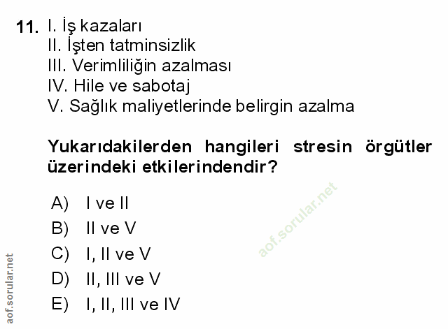 Soru 11