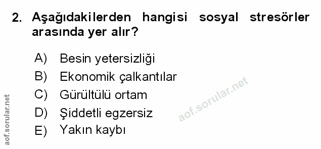 Soru 2