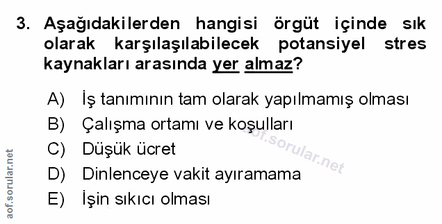 Soru 3
