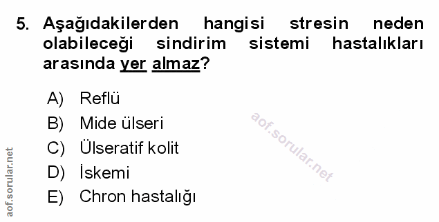 Soru 5