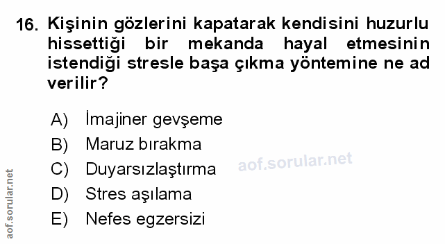 Soru 16