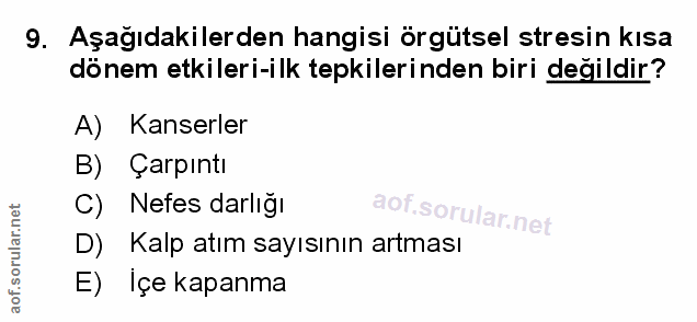 Soru 9