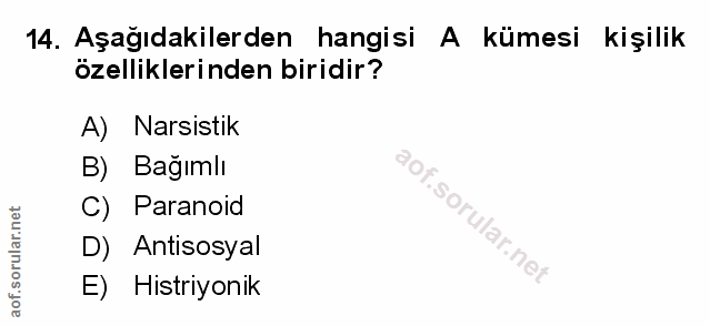 Soru 14