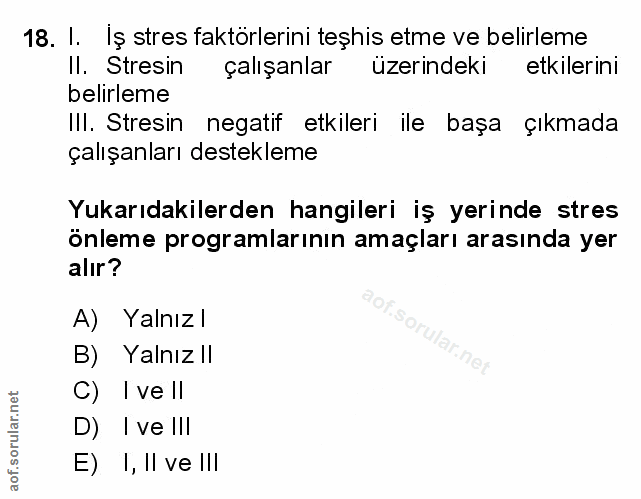 Soru 18