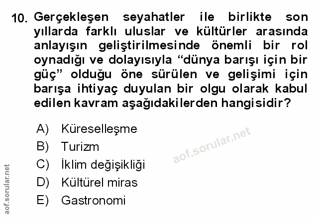 Soru 10