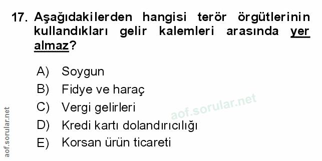Soru 17