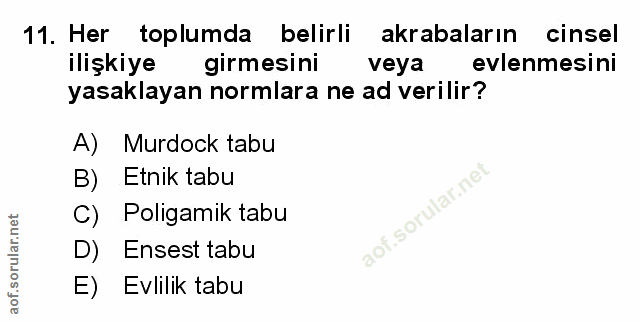 Soru 11