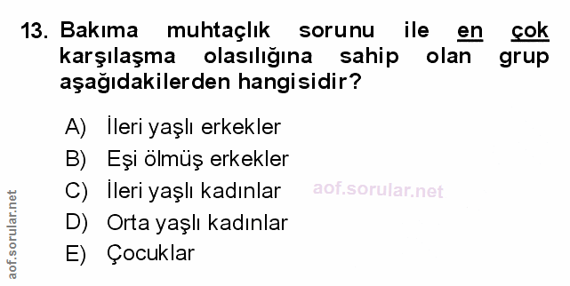 Soru 13