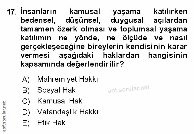 Soru 17