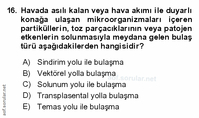 Soru 16