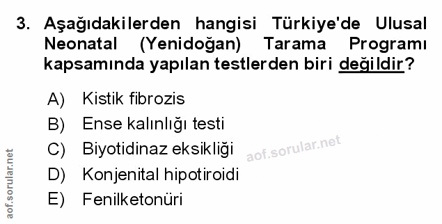 Soru 3