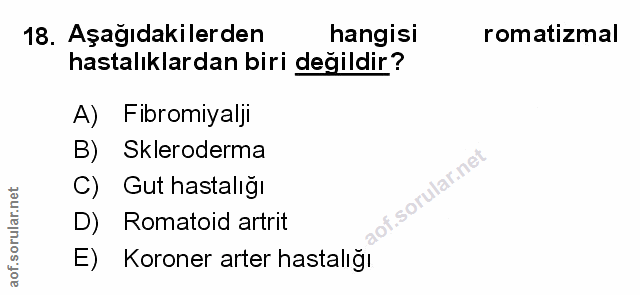 Soru 18