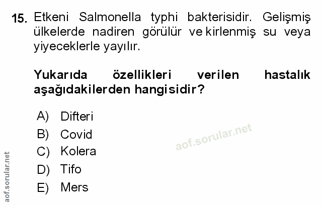 Soru 15