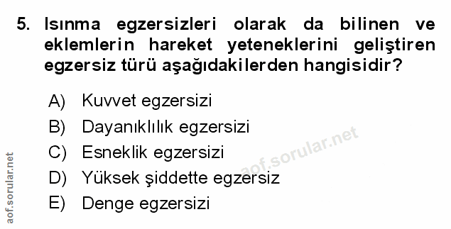 Soru 5