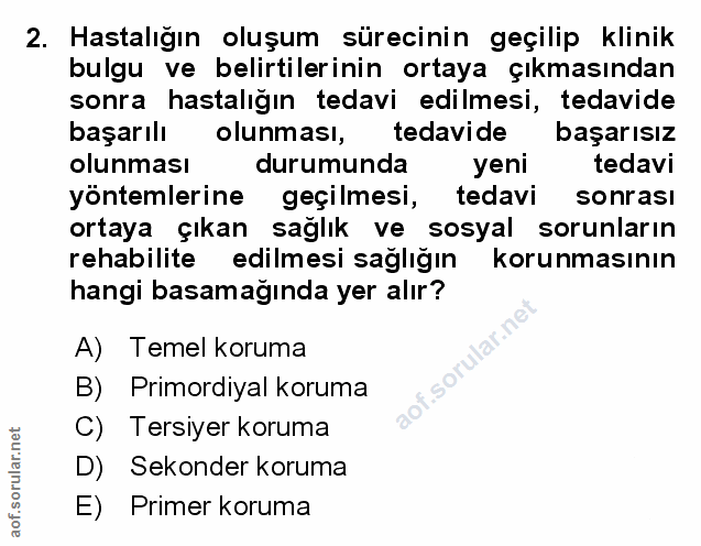 Soru 2