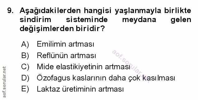 Soru 9