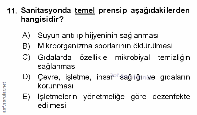 Soru 11