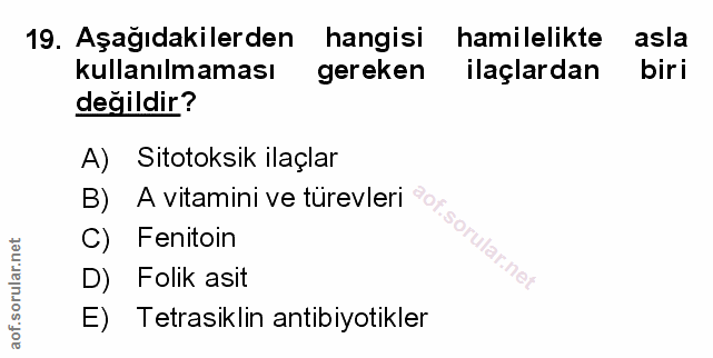 Soru 19