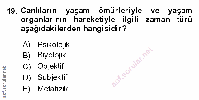 Soru 19