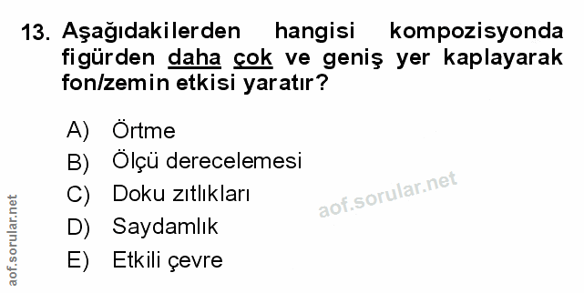 Soru 13