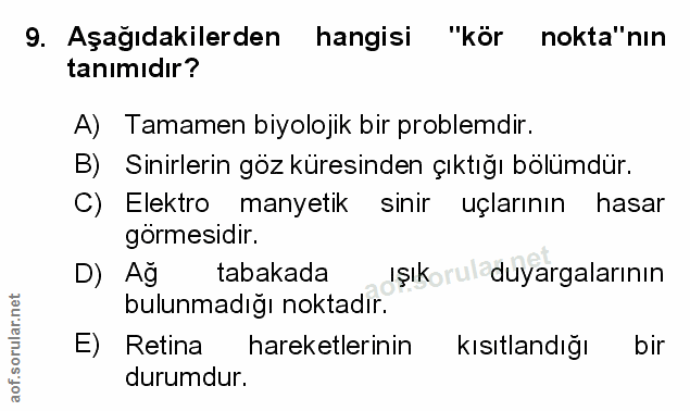 Soru 9