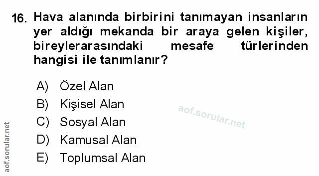 Soru 16