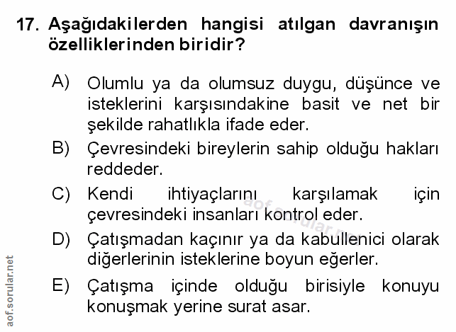 Soru 17