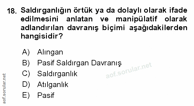 Soru 18