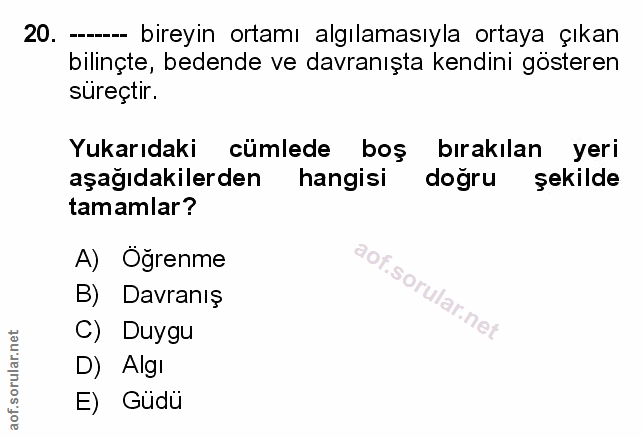 Soru 20