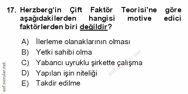 Soru 17